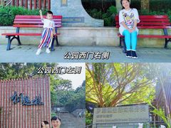 -银湖山郊野公园-相思林