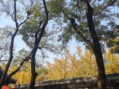 -北京国子监胡同