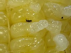 -南京医科大学-2餐厅