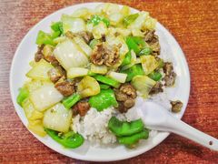 咖喱牛肉盖饭-启子大馅饺子