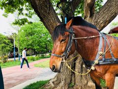 -西安秦岭野生动物园