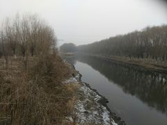 -蒲河岛湿地公园