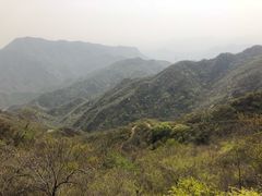 -大岭沟猕猴桃谷风景区