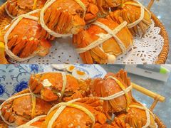 -小陆莲花蟹园农家乐(莲花岛店)