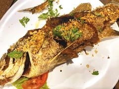 -Doo Dee Thai Food(Issan/Isaan/Esan)