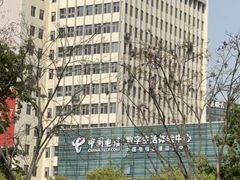 -中国电信(武林广场营业厅)