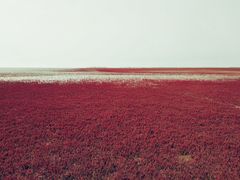 -红海滩国家风景廊道