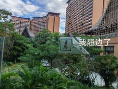 -三亚湾红树林度假世界(木棉酒店)