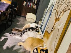 -咖法森林·咖啡  酒吧(天河店)