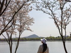 -羊山湖公园