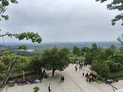 -牛首山文化旅游区