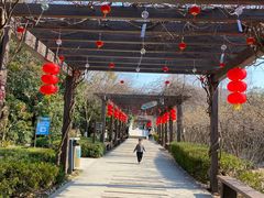 -白马涧龙池景区