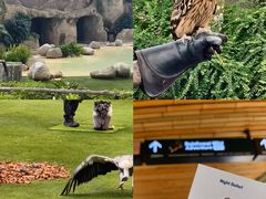 -新加坡飞禽公园