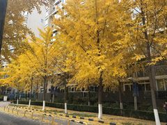 -中国银行(北京远洋天地支行)