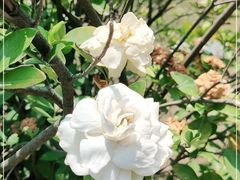 -中国移动南方基地