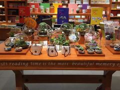 -矢量咖啡(万象汇店)