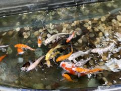 -和乐喜点(宝岗大道店)