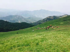 -北京灵山风景区