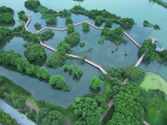 -贡湖湾湿地公园