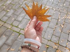 -白塘生态植物园