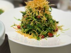 巧拌豆苗-四季民福烤鸭店(前门店)