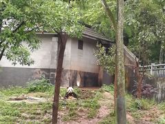 -中国大熊猫保护研究中心雅安碧峰峡基地