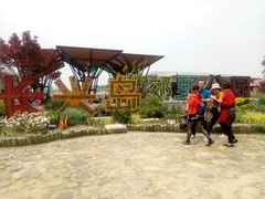 门面-上海长兴岛郊野公园