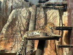 -沈阳森林动物园