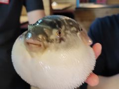 -永安鱼庄·镇江菜(丁卯店)