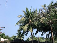 -石梅湾艾美度假酒店