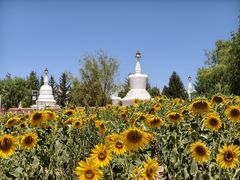 -凉州白塔寺景区