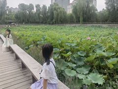 -碑林公园