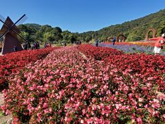 -广州市石门国家森林公园