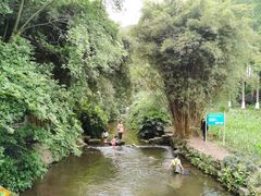 -重庆彩云湖湿地公园