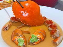 -圆苑(静安寺店)