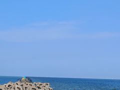 -东疆建设开发纪念公园