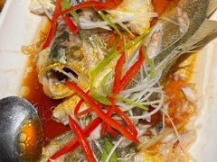 -前海沿·青岛菜(大拇指广场石老人店)