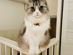 -一墨照相馆·证件照·形象照(世博店)