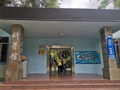 -广东惠东海龟国家级自然保护区