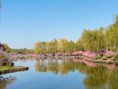 -石家庄市植物园