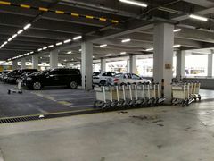 -上海浦东国际机场T1航站楼-P1停车场