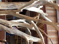 -渔太泰漓江小馆·广西融合菜(西街店)