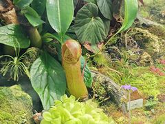 -国家植物园南园