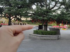 -龙口南山旅游景区