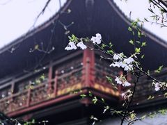 -灵隐飞来峰景区