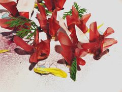 -荣公子创意菜