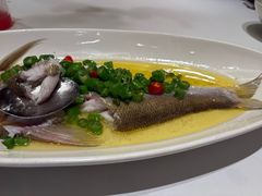 青花椒蒸白水鱼-荣兴酒家(徐家汇店)