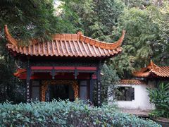 -广州兰圃