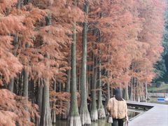 -采石矶景区