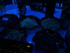 -欢乐迪氧吧KTV(大渡口步行街店)